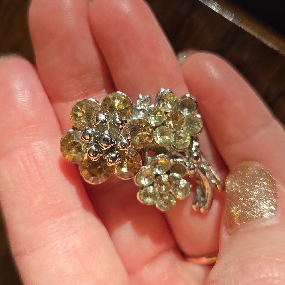 Antique Brooch